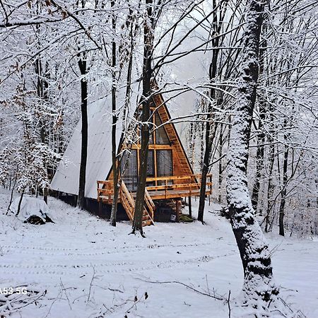 Cabanaaframe Curtea de Argeş Exteriör bild