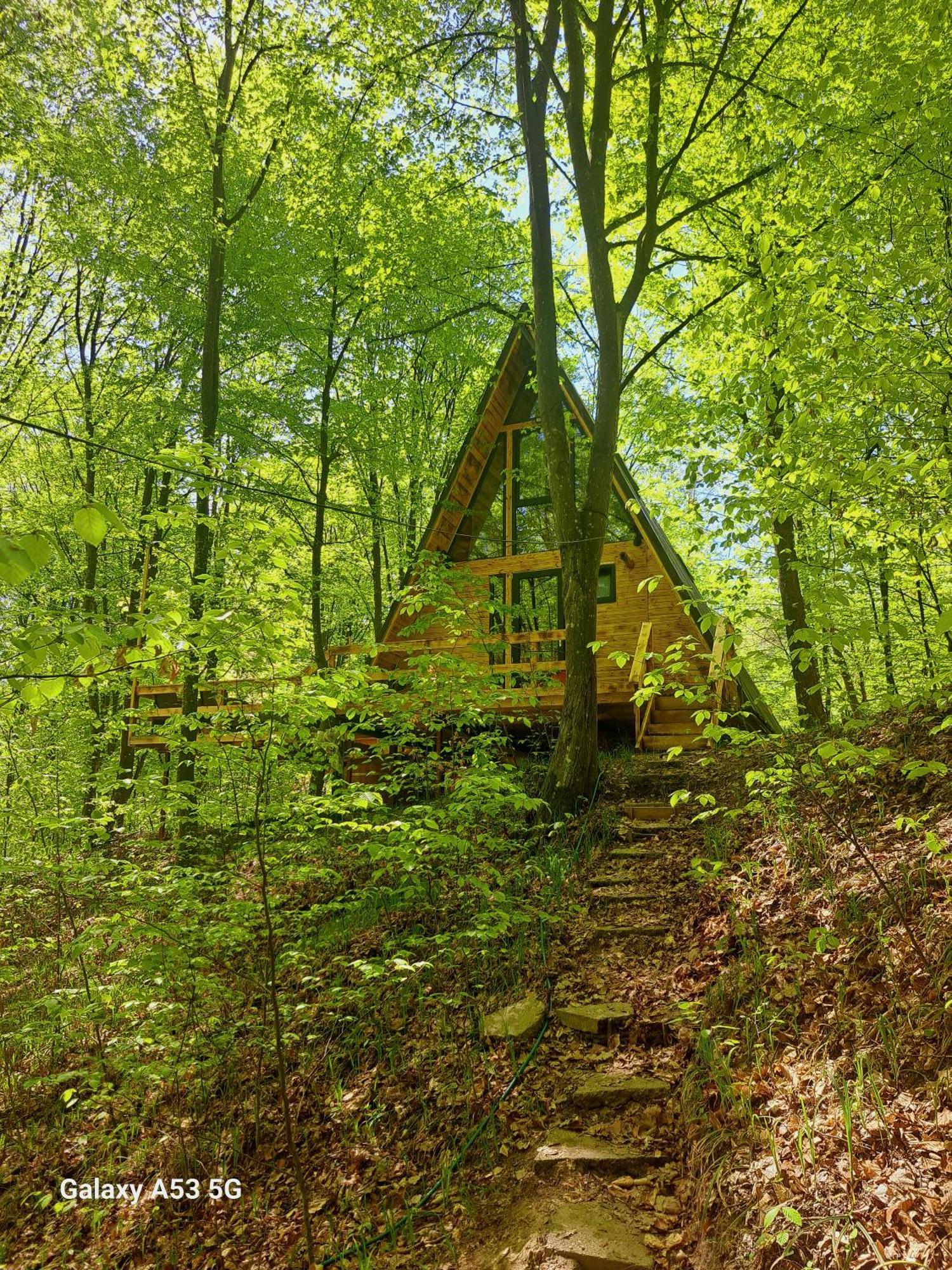Cabanaaframe Curtea de Argeş Exteriör bild