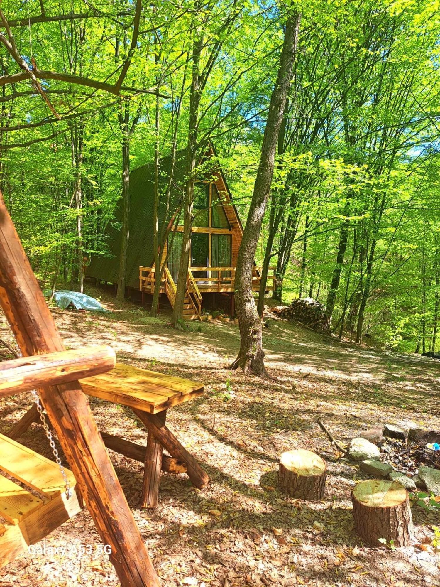 Cabanaaframe Curtea de Argeş Exteriör bild