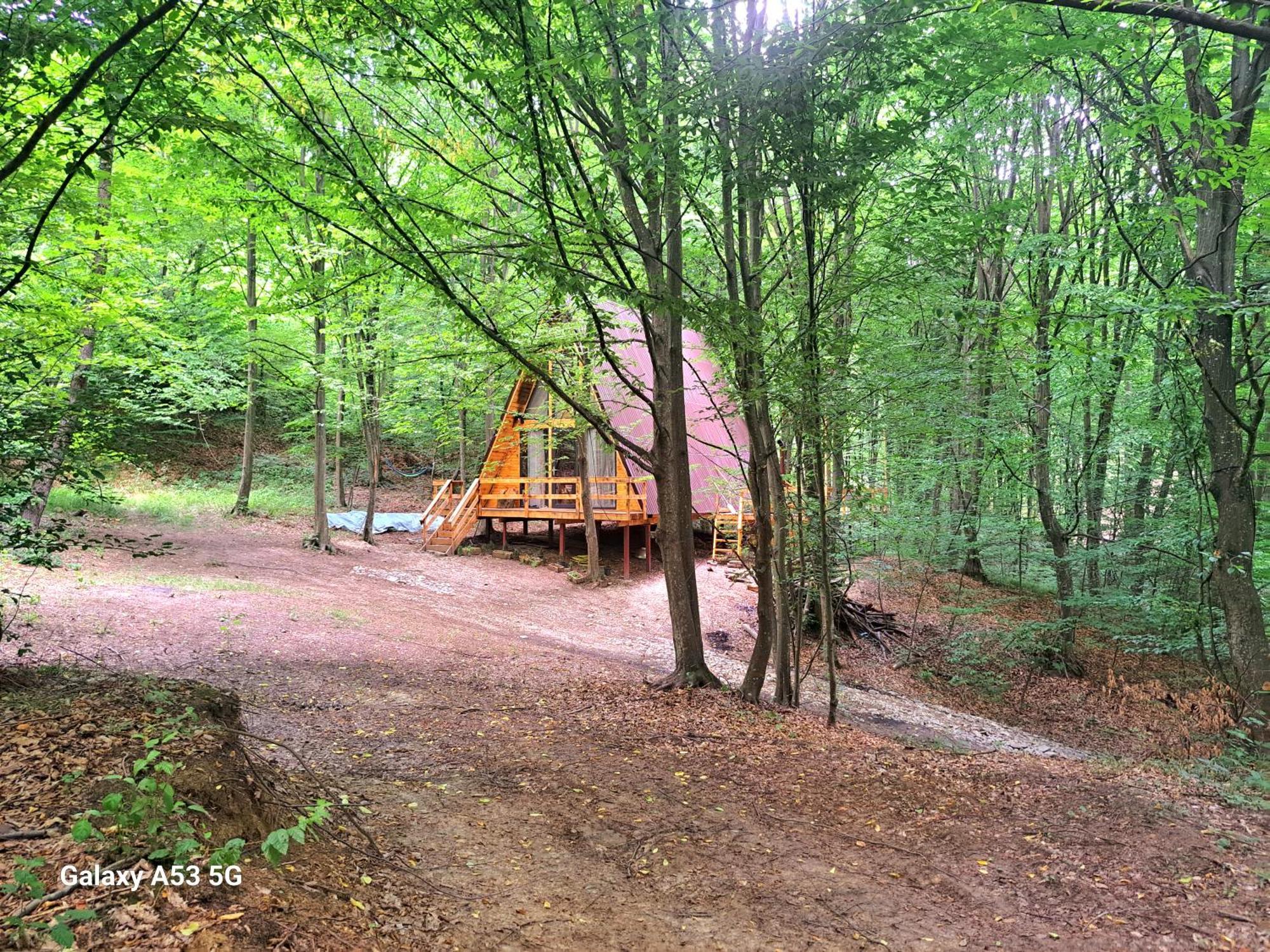 Cabanaaframe Curtea de Argeş Exteriör bild